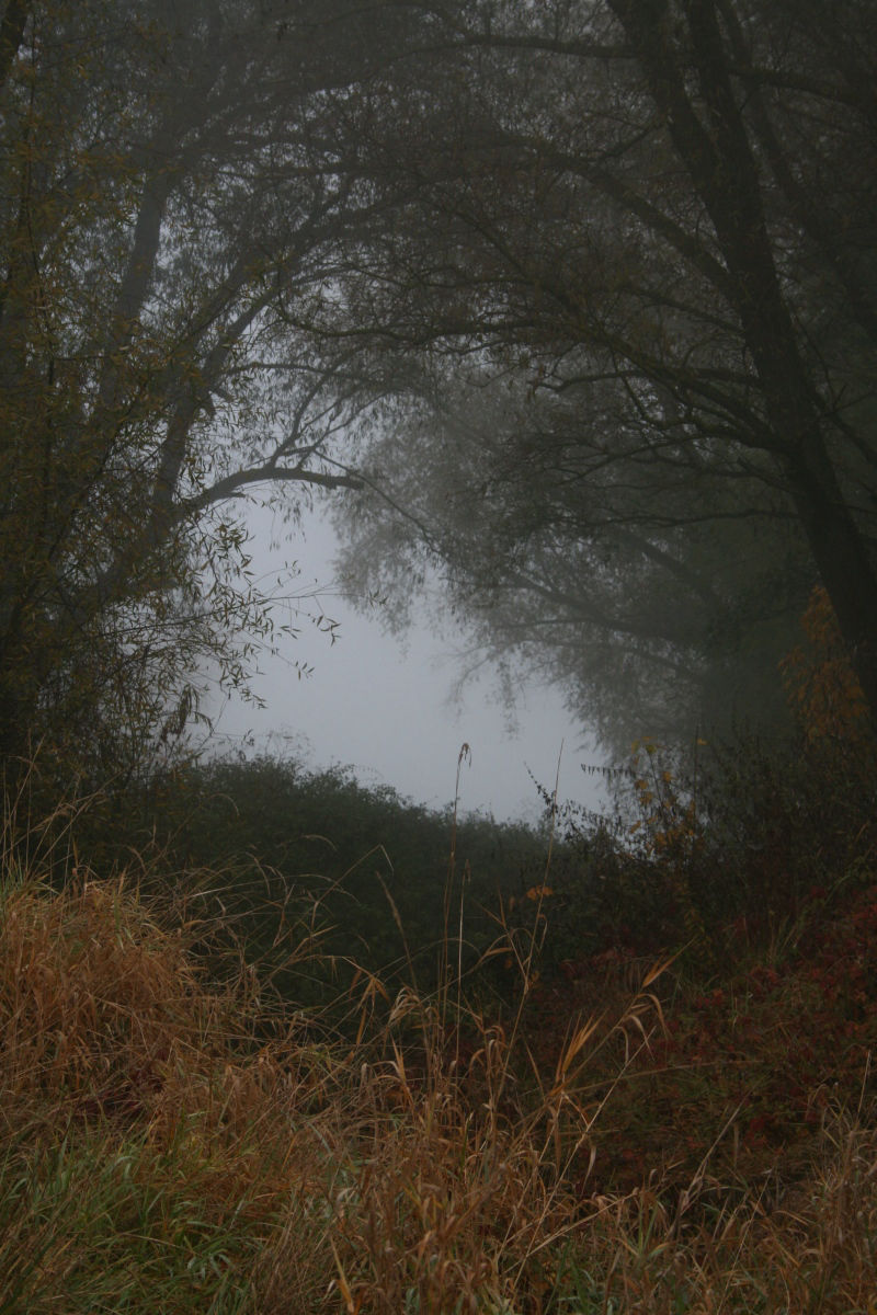 Thomas Bindl, Fotoarbeit Donau, 04.11.2008b