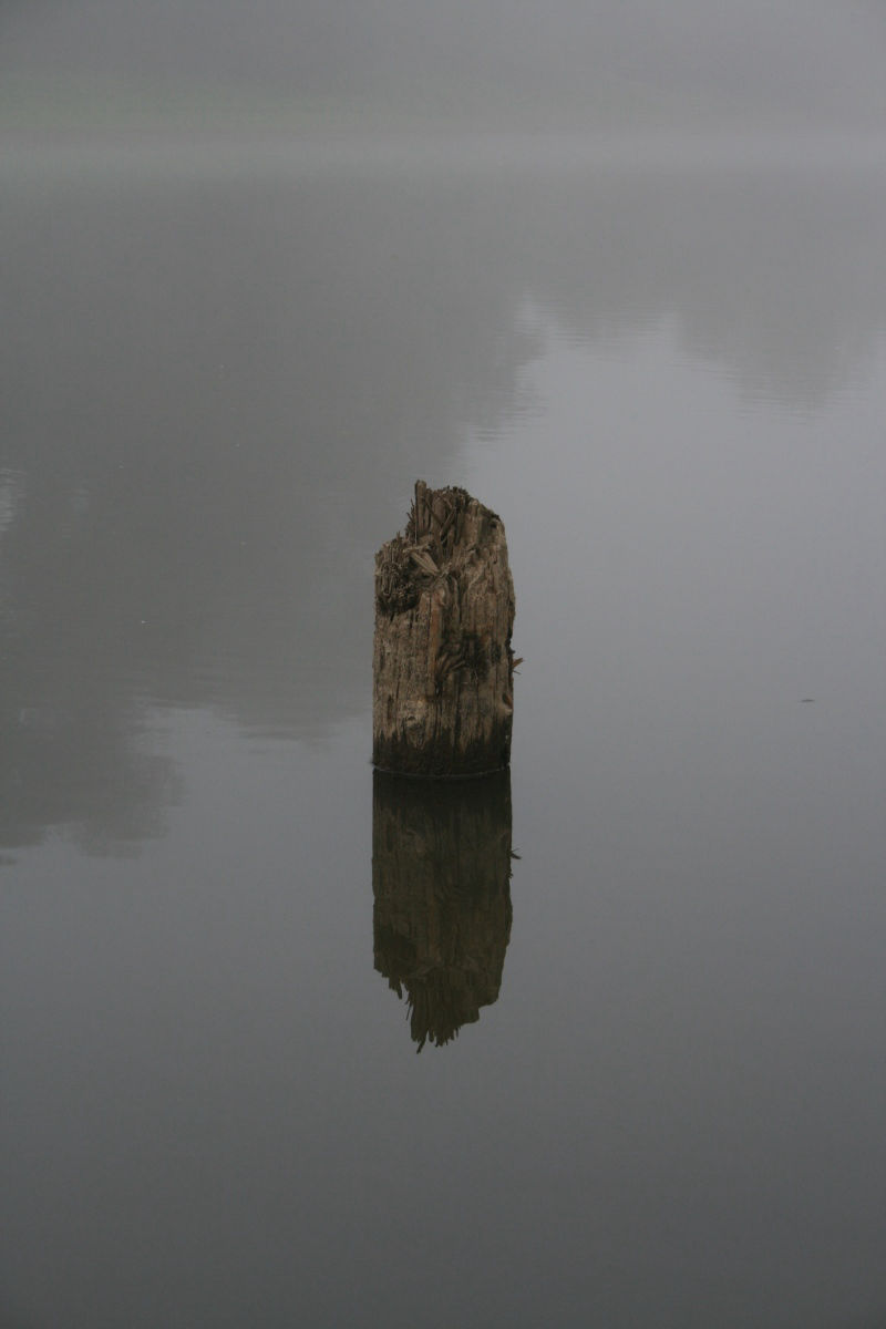 Thomas Bindl, Fotoarbeit, Donau 21.09.2009